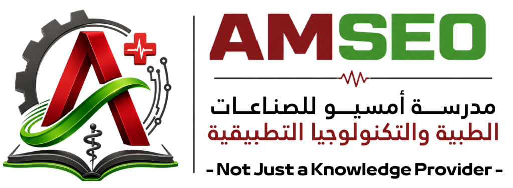 Logo AMSEO School