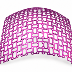Cranial Mesh