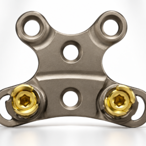 Occipital-Cervical Plate