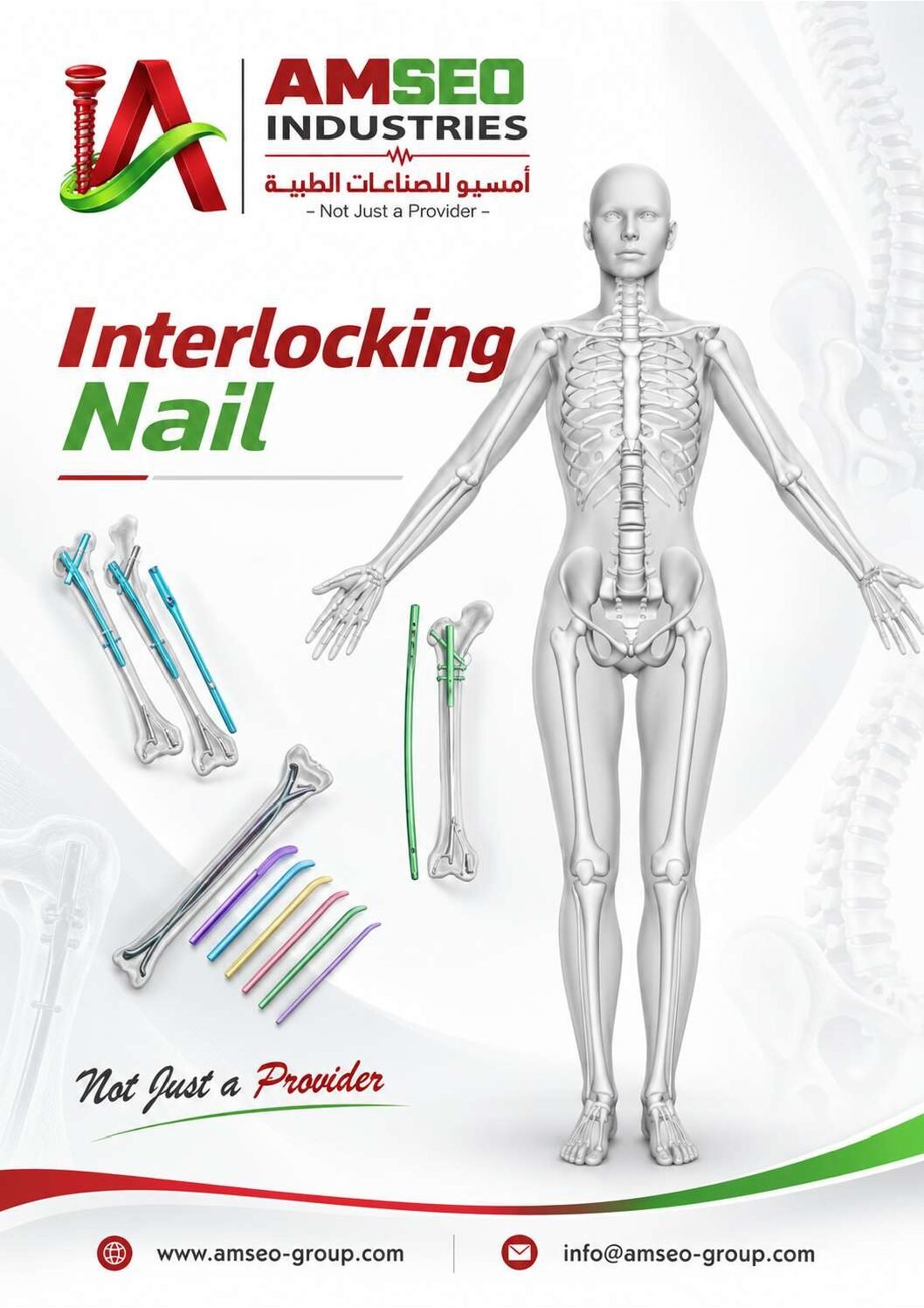 AMSEO Interlocking Nail Systems catalogue