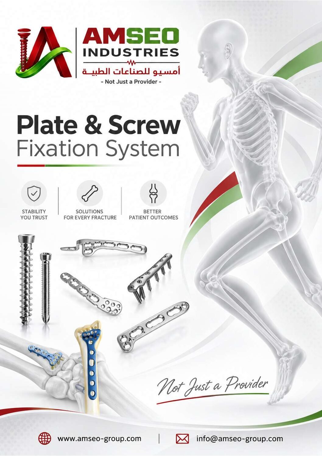 AMSEO Trauma — Plates and Screws catalogue